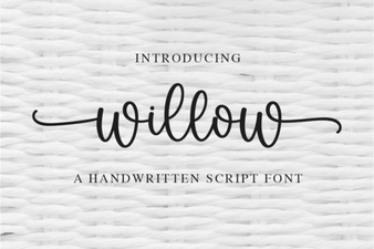 Willow Font: Ideas for Creative Design Projects